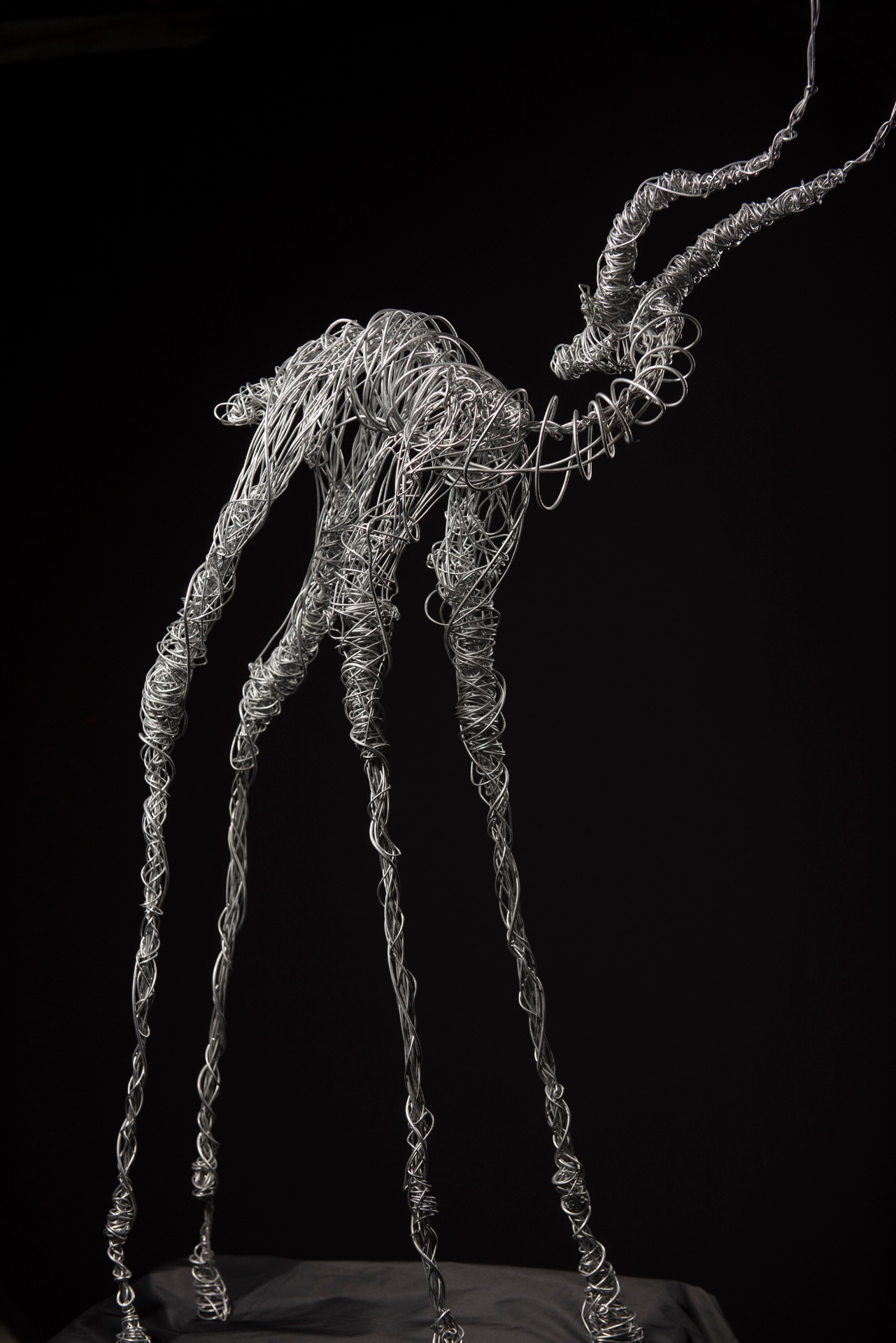 Form and legs, studio light