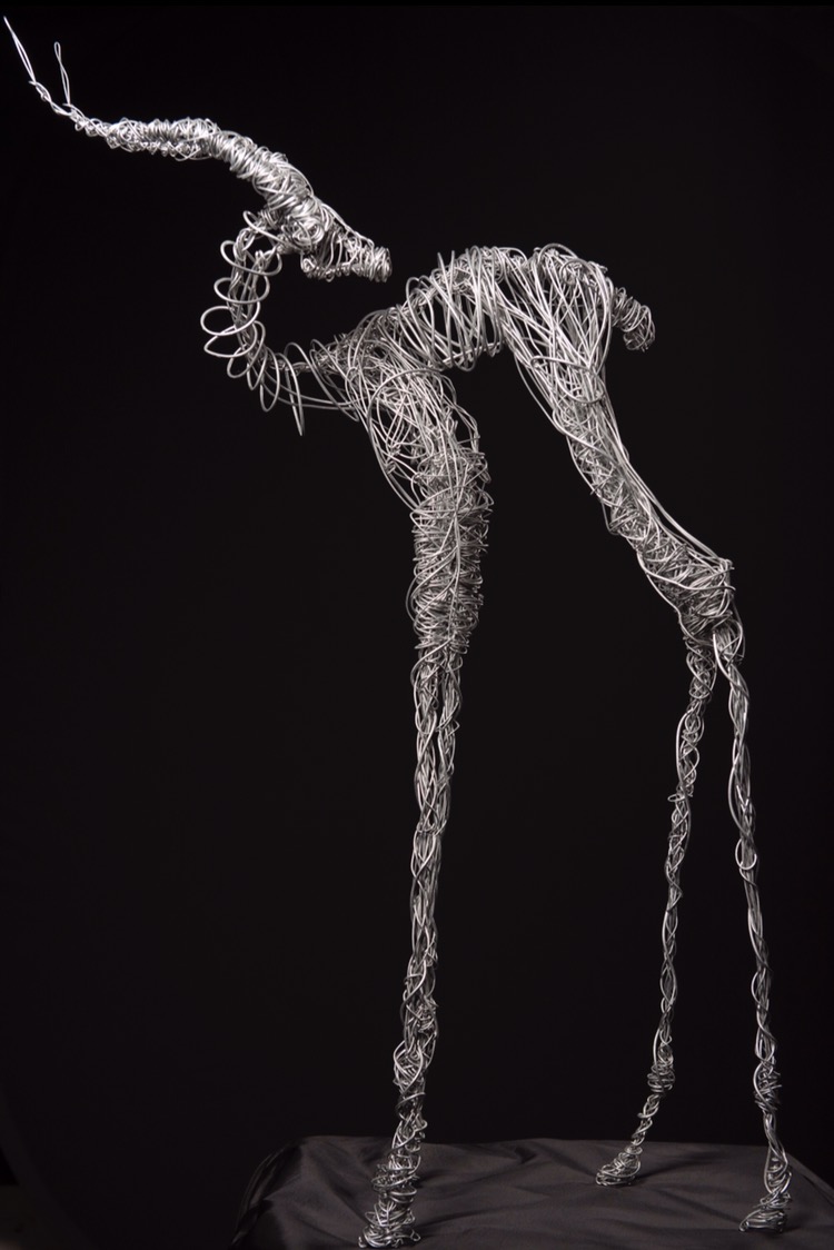 The Gazelle, full view