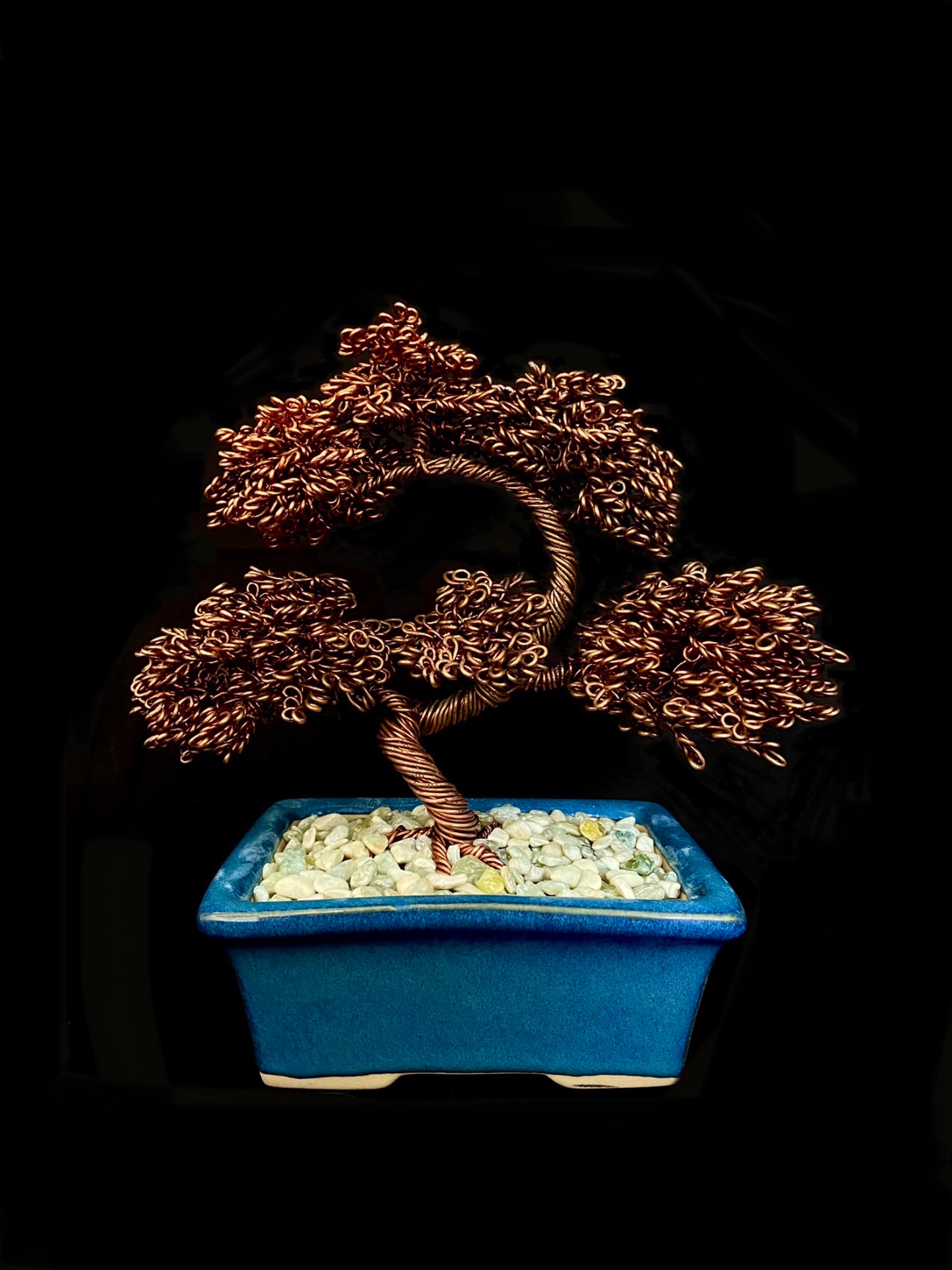 Juniper, copper wire bonsai — studio light