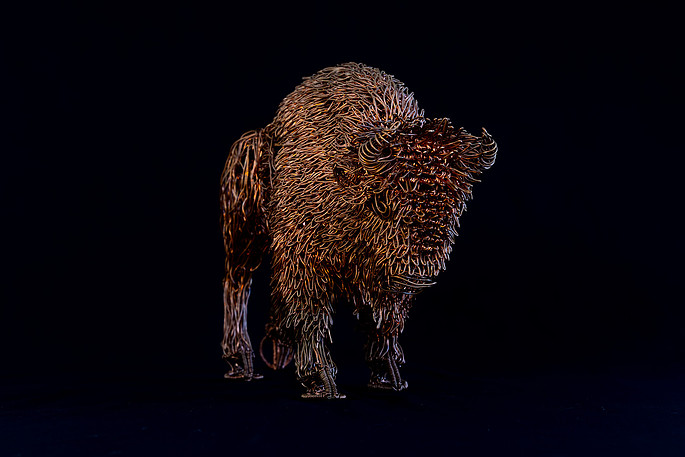 Head-on, facing the storm
