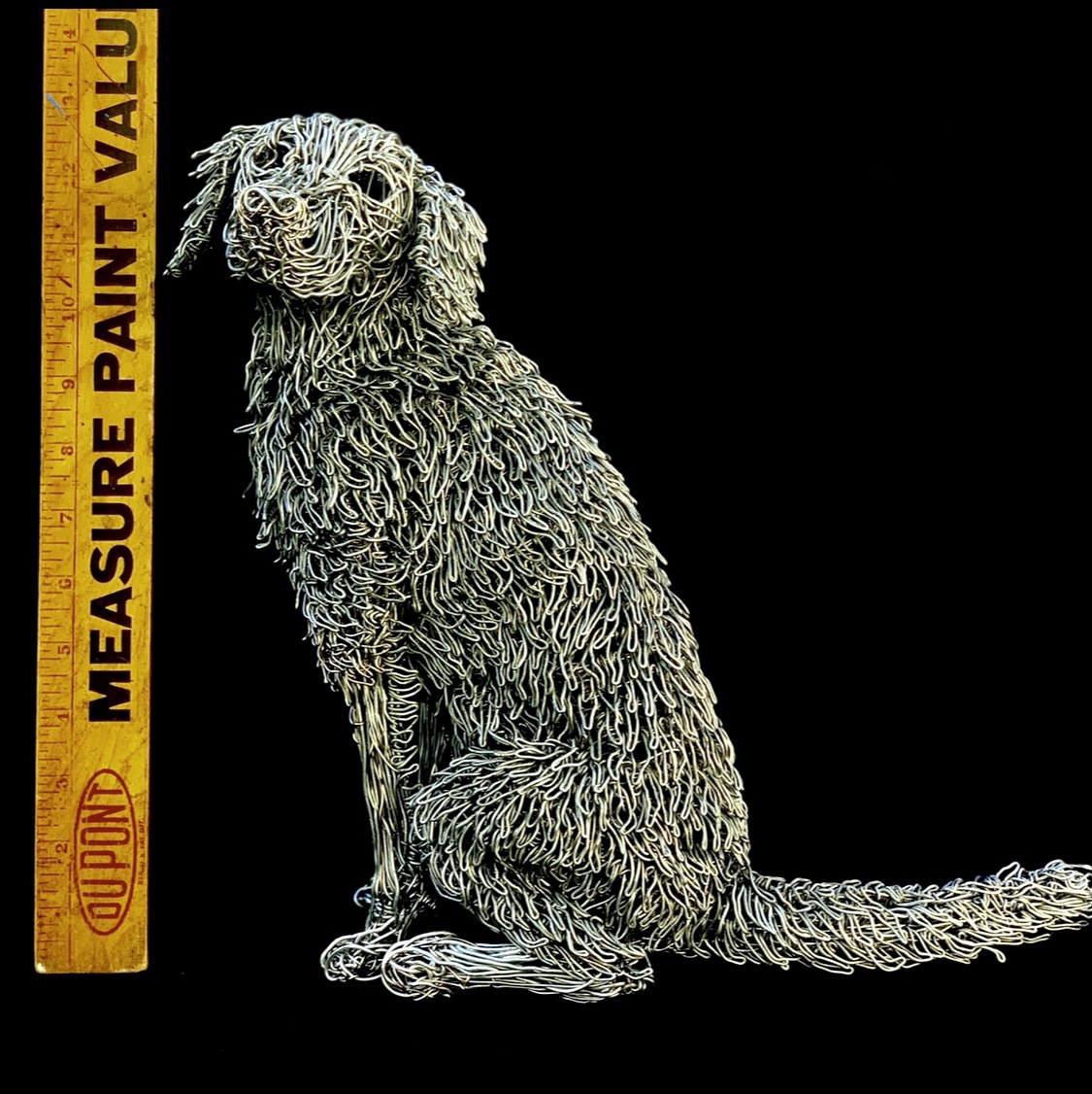 Scale reference — ruler