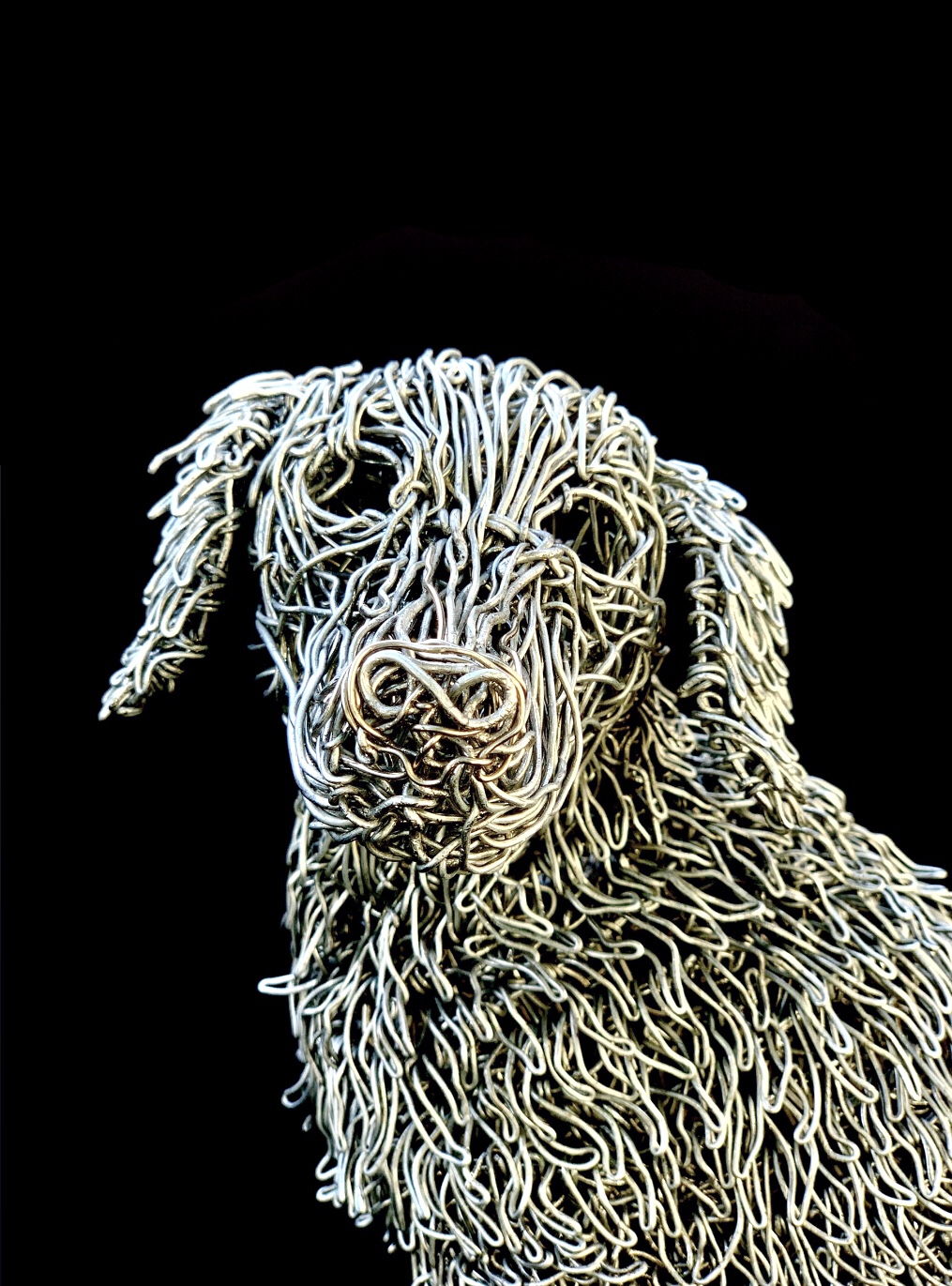 Face and muzzle, detail