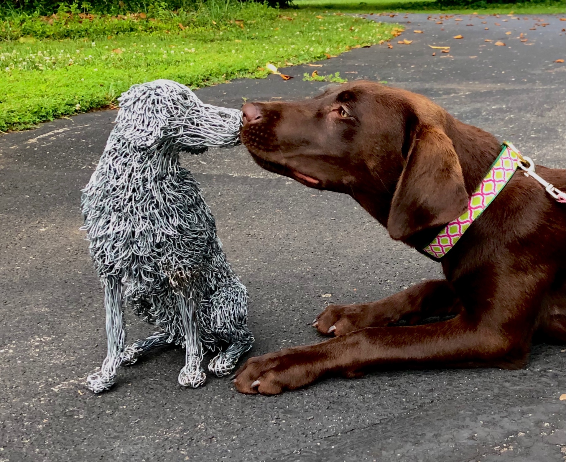 Nose to nose, outdoors