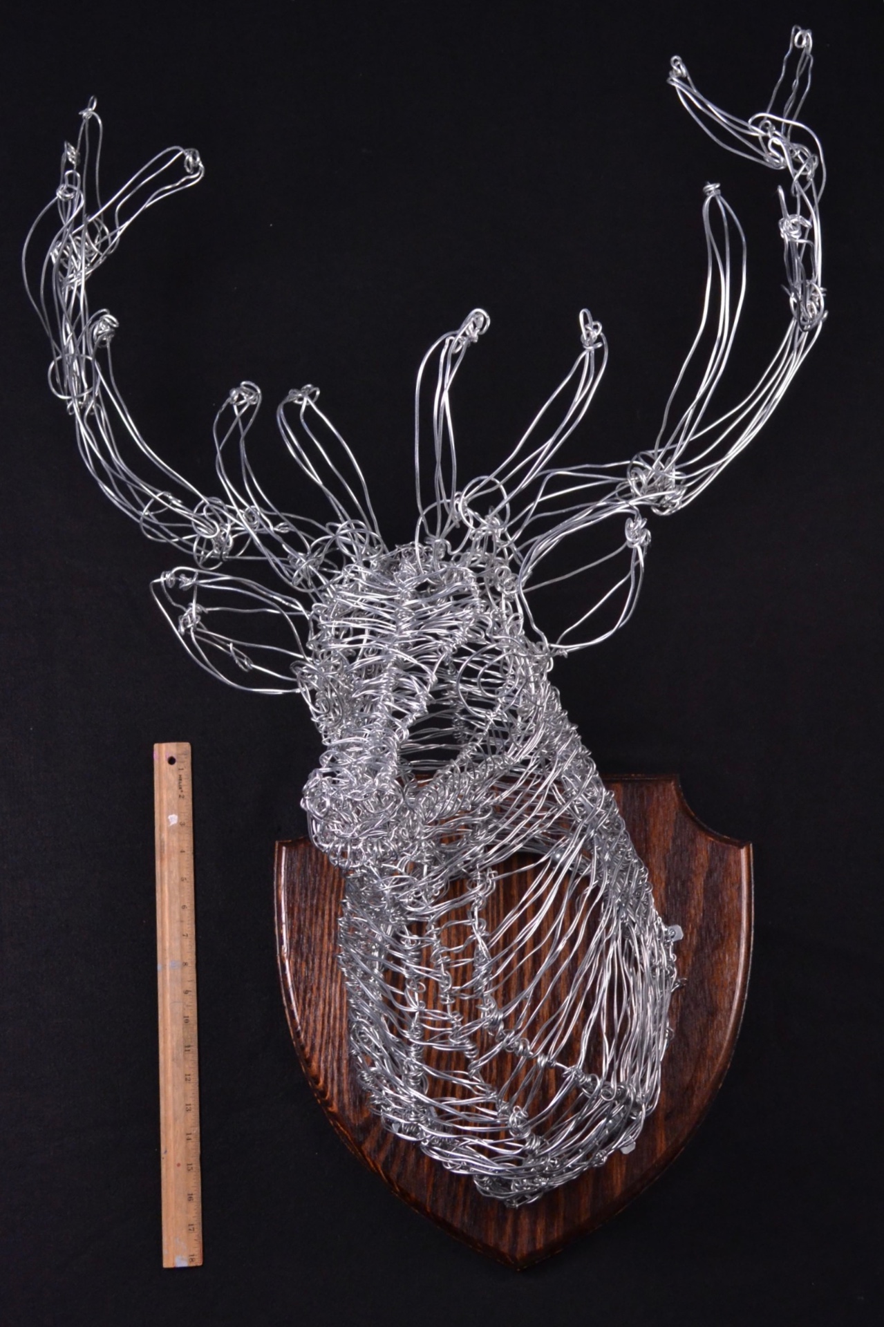 Deer Todd, front view